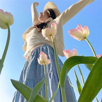 霍多洛夫斯基星座